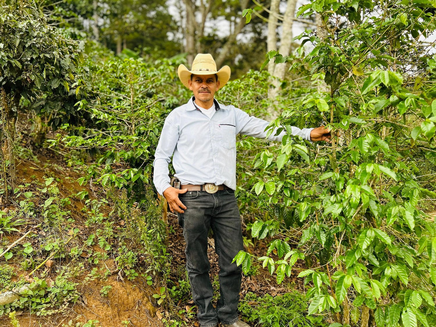 Finca El Balunal