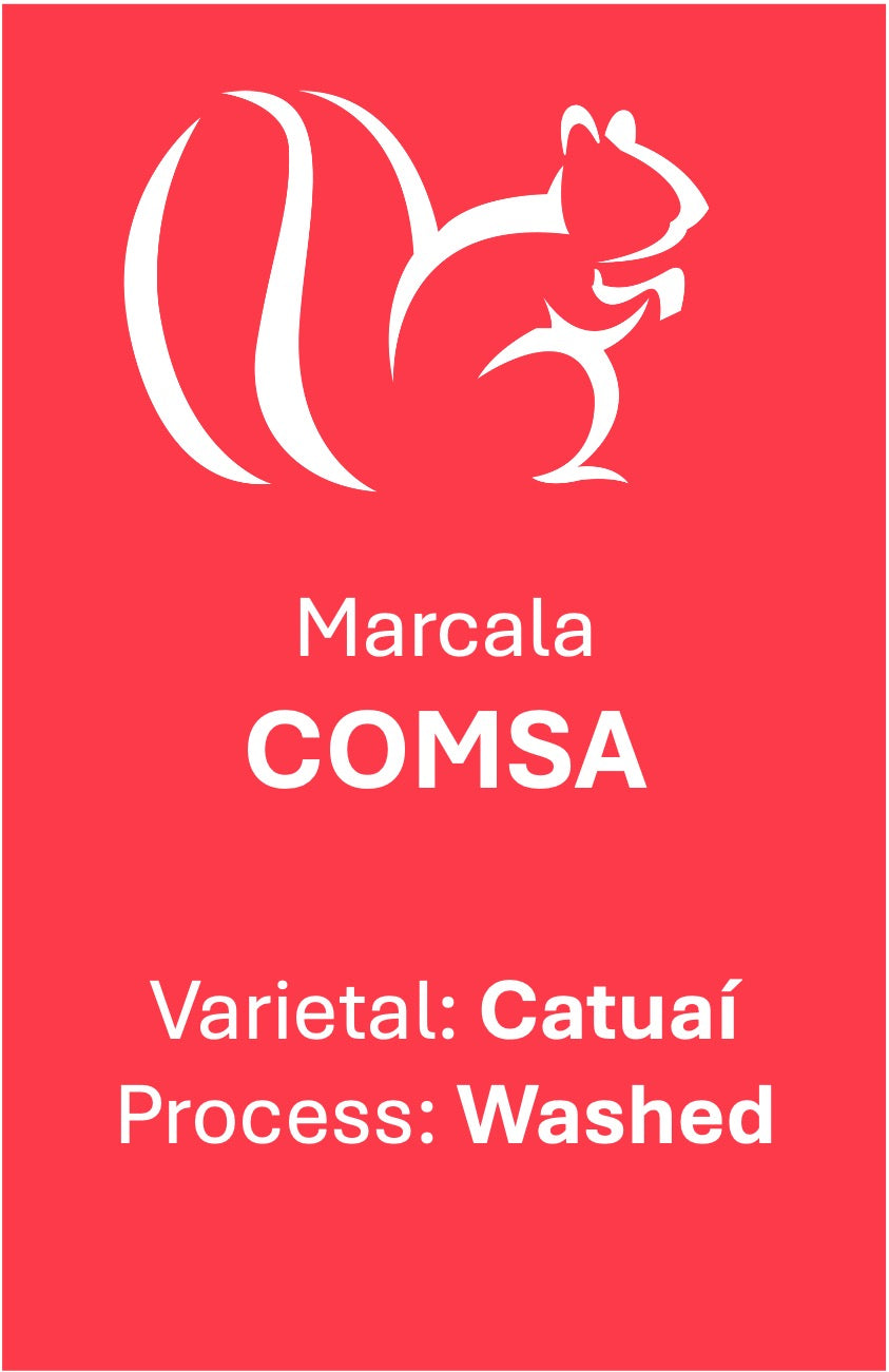 Comsa - Washed